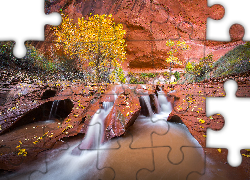 Rzeka Coyote Gulch, Wąwóz, Czerwone, Skały, Drzewa, Roślinność, Liście, Jesień, Stan Utah, Stany Zjednoczone