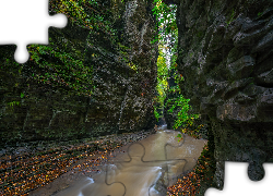 Wąwóz, Skały, Rzeka Glen Creek, Watkins Glen State Park, Nowy Jork, Stany Zjednoczone