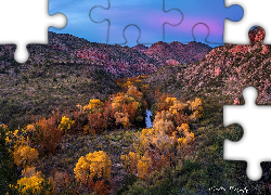 Jesień, Kolorowe, Drzewa, Góry, Kanion Sycamore, Rzeka, Arizona, Stany Zjednoczone