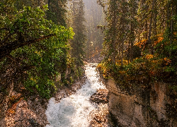 Skały, Rzeka, Maligne River, Drzewa, Maligne Canyon, Park Narodowy Jasper, Kanada