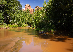 Rzeka, Drzewa, Góry, Red Rock State Park, Arizona, Stany Zjednoczone