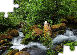 Stany Zjednoczone, Stan Oregon, Rwąca, Rzeka North Umpqua River, Kamienie, Skały, Drzewa