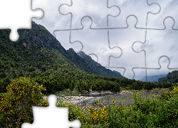 Góry, Rzeka, Lasy, Drzewa