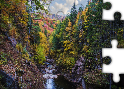 Rzeka, Pemigewasset River, Skały, Las, Drzewa, Jesień, Stan New Hampshire, Stany Zjednoczone