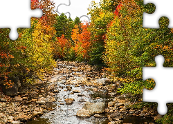 Stany Zjednoczone, Stan New Hampshire, Rzeka Pemigewasset River, Kamienie, Las, Jesień