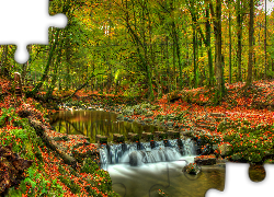 Jesień, Las, Park Tollymore Forest Park, Drzewa, Rzeka Shimne River, Hrabstwo Down, Irlandia Północna