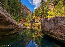 Stany Zjednoczone, Arizona, Sedona, Skały, Wąwóz, Rzeka, West Fork of Oak Creek, Drzewa, Odbicie