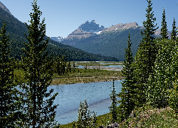 Góry, Canadian Rockies, Rzeka, Saskatchewan River, Drzewa, Park Narodowy Banff, Kanada