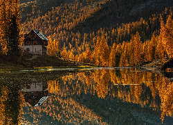 Jesień, Jezioro, Lago Federa, Góra, Dom, Las, Żółte, Drzewa, Modrzewie, Włochy