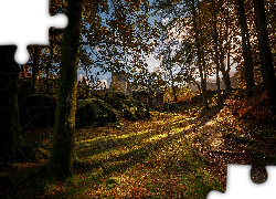 Jesień, Drzewa, Ścieżka, Dom, Wieża, Zamek, Dolbadarn Castle, Park Narodowy Snowdonia, Walia
