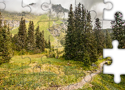 Góry, Mgła, Ścieżka, Drzewa