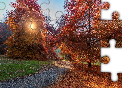 Park, Jesień, Drzewa, Promienie słońca, Ścieżka, Liście