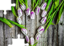 Kwiaty, Tulipany, Serce