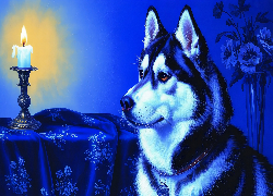 Pies, Siberian husky, Świeca, Materiał, Grafika