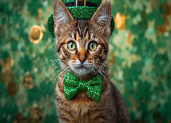 Kot, Zielona, Muszka, Cylinder, AI