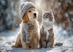 Pies, Kot, Czapka, Szalik, Zima, Grafika AI