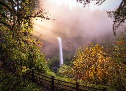 Wodospad, South Falls, Jesień, Skały, Drzewa, Trawa, Park stanowy Silver Falls, Stan Oregon, Stany Zjednoczone