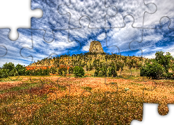 Góra, Skała Devils Tower, Wzgórze, Drzewa, Chmury, Stan Wyoming, Stany Zjednoczone