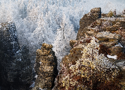 Zima, Góry Połabskie, Skały, Ośnieżone, Drzewa