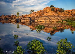 Stany Zjednoczone, Arizona, Skały, Jezioro, Willow Lake, Drzewa