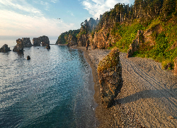 Wybrzeże, Morze, Plaża, Skały, Drzewa
