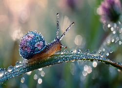 Ślimak, Muszla, Kwiaty, Trawa, Źdźbło, Krople, Rosa, Grafika AI