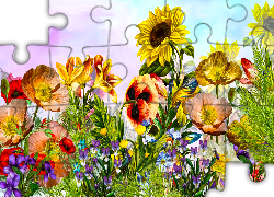 Kwiaty, Słonecznik, Maki, Grafika