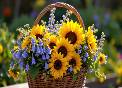 Kwiaty, Słoneczniki, Niebieskie, Dzwonki, Wiklinowy, Koszyk