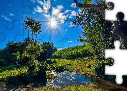 Afryka, Francuska, Wyspa Reunion, Saint-Benoît, Potok, Promienie słońca, Drzewa, Krzewy