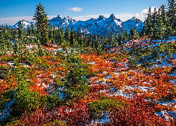 Park Narodowy Mount Rainier, Góry, Tatoosh Range, Łąka, Jesień, Roślinność, Drzewa, Śnieg, Stan Waszyngton, Stany Zjednoczone