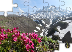 Góry, Śnieg, Różowe, Kwiaty