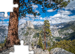 Góry, Szczyt Half Dome, Drzewa, Sosny, Park Narodowy Yosemite, Kalifornia, Stany Zjednoczone