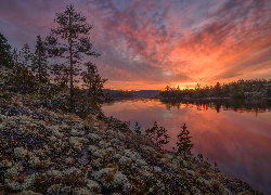 Zachód słońca, Jezioro, Ładoga, Kamienie, Drzewa, Karelia, Rosja