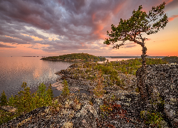 Rosja, Karelia, Jezioro, Ładoga, Skały, Jesień, Drzewo