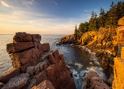 Morze, Skały, Drzewa, Sosny, Park Narodowy Acadia, Maine, Stany Zjednoczone