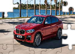 Czerwone, BMW X4, 2018