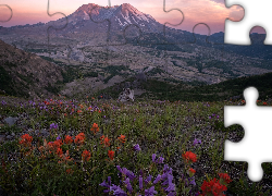 Stany Zjednoczone, Stan Waszyngton, Góry Kaskadowe, Stratowulkan, Mount St Helens, Łąka, Kwiaty