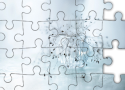 Sucha, Roślina, Wazonik, Zbliżenie