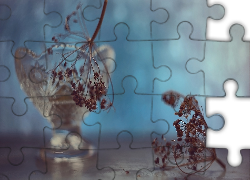 Rośliny, Szklane, Naczynie