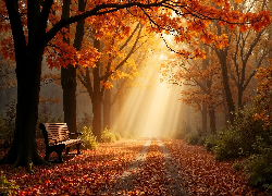Jesień, Park, Drzewa, Ławka, Opadłe, Liście, Przebijające światło
