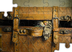 Szary, Kot, Skórzana, Walizka