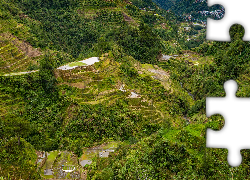 Wzgórza, Uprawa, Tarasy ryżowe, Prowincja Ifugao, Wyspa Luzon, Filipiny