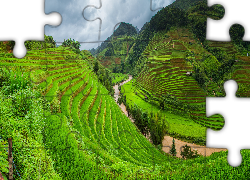 Wzgórza, Pola, Uprawne, Tarasy ryżowe, Sa Pa, Prowincja Lao Cai, Wietnam