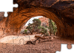 Navajo Arch, Skały, Drzewa, Park Narodowy Arches, Stan Utah, Stany Zjednoczone