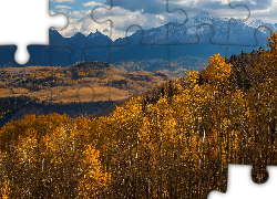 Góry, San Juan Mountains, Jesień, Dolina, Drzewa, Topole osikowe, Hrabstwo San Miguel, Kolorado, Stany Zjednoczone