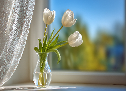 Trzy, Białe, Tulipany, Wazon, Okno, Parapet, Grafika AI