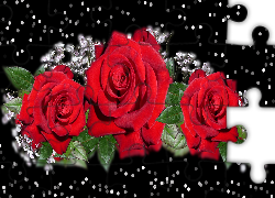 Kwiaty, Róże, Czerwone, 2D