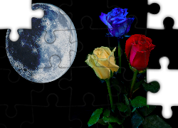 Kosmos, Księżyc, Kwiaty, Trzy, Róże, Niebieska, Żółta, Czerwona