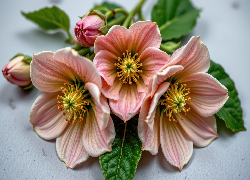 Kwiaty, Pręciki, Liście, Grafika AI