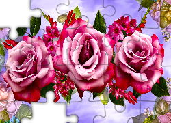 Kwiaty, Trzy, Róże, Różowe, Grafika